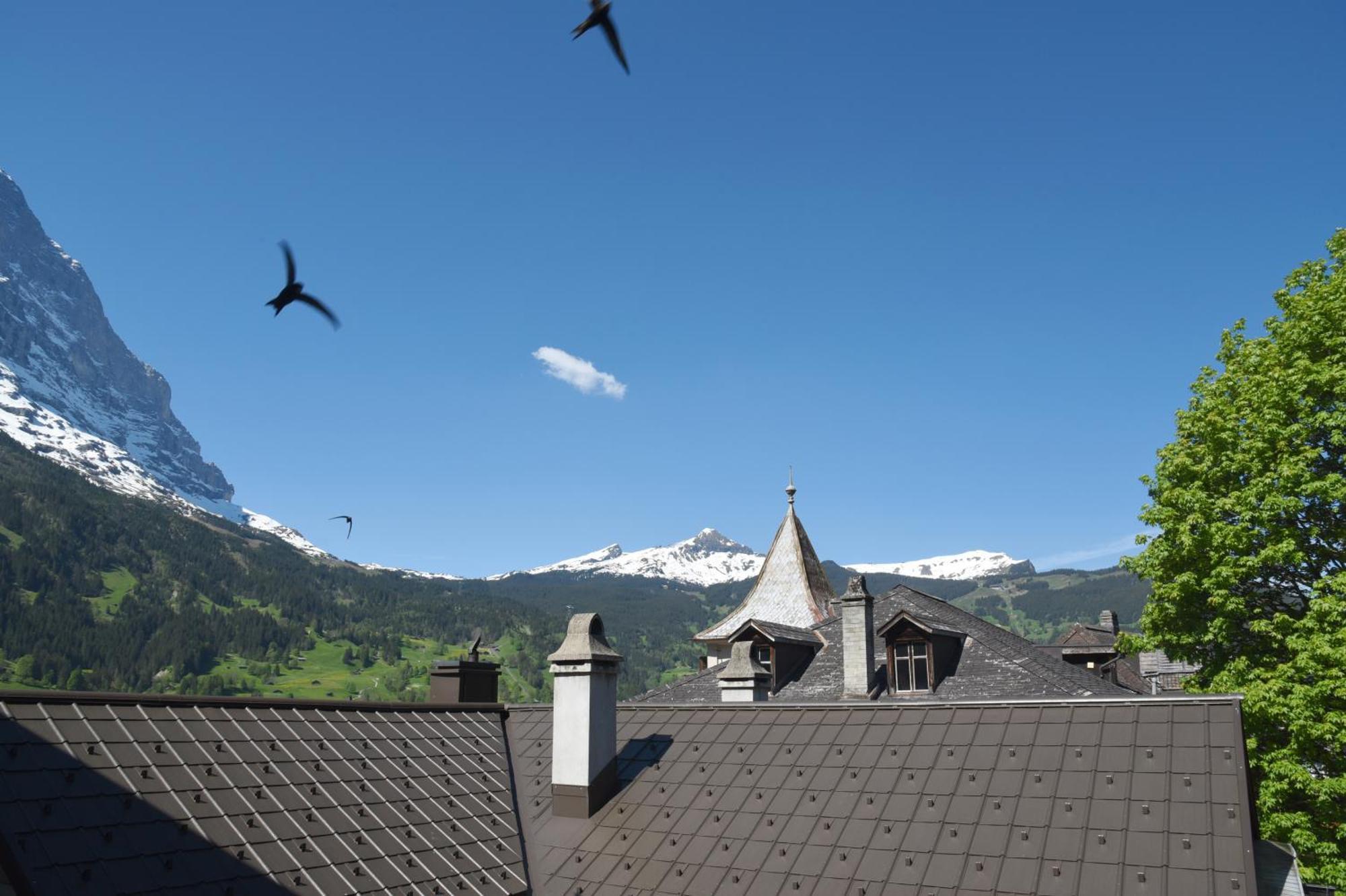 Eiger Mountain & Soul Resort Grindelwald Room photo